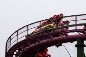 Momonga Standing and Loop Coaster