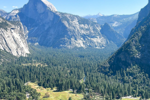 Yosemite National Park