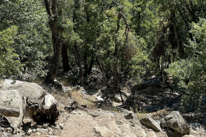 Yosemite National Park