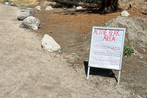 Yosemite National Park