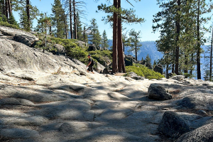 Yosemite National Park