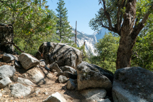 Yosemite National Park