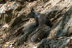 Yosemite National Park