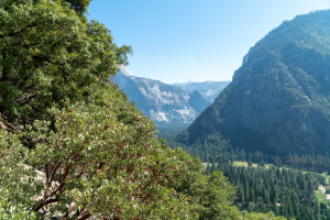 Yosemite National Park