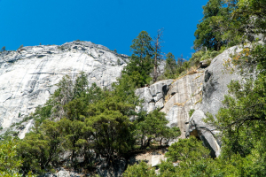 Yosemite National Park