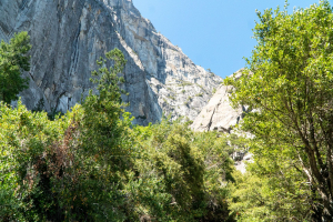 Yosemite National Park