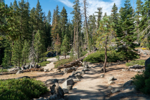 Yosemite National Park