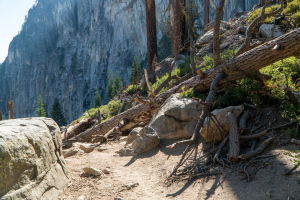 Yosemite National Park