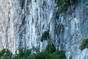 Yosemite National Park