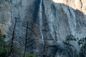 Yosemite National Park