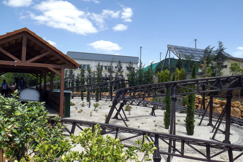 Buffalo Coaster
