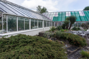 Sukkulenten-Sammlung