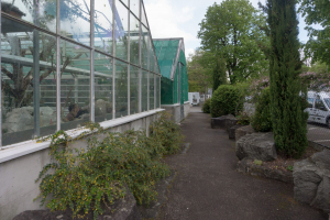 Sukkulenten-Sammlung