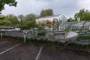 Sukkulenten-Sammlung