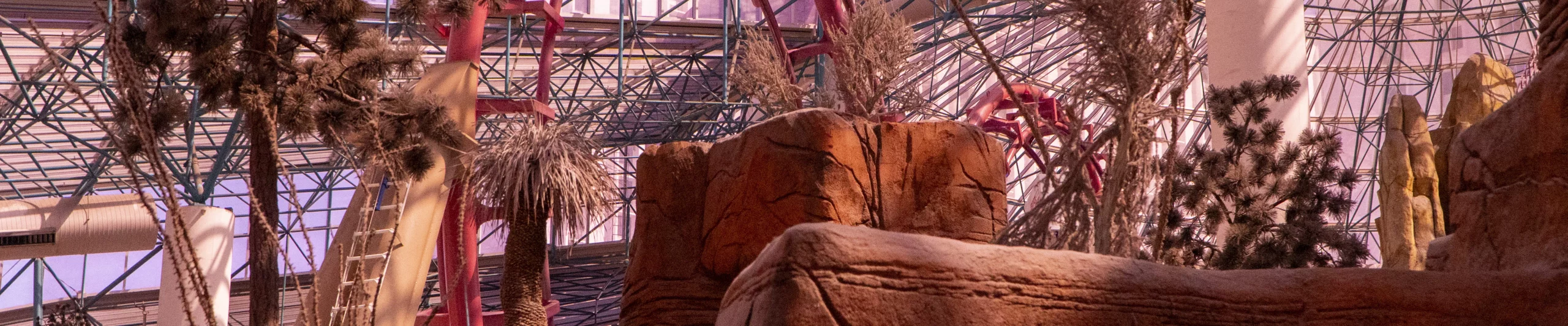 A visit to the Adventuredome